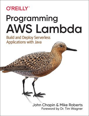 bokomslag Programming AWS Lambda