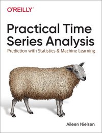 bokomslag Practical Time Series Analysis