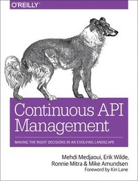 bokomslag Continuous API Management