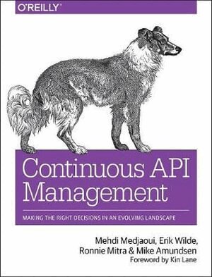 Mehdi Medjaoui, Erik Wilde, Ronnie Mitra, Mike Amundsen - Continuous API Management, Häftad
