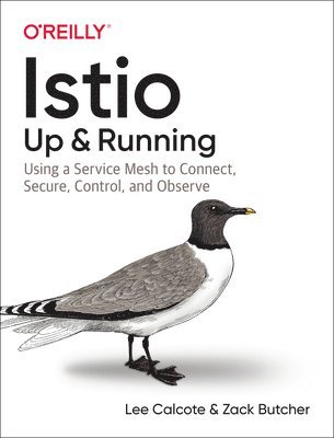 Istio: Up and Running 1