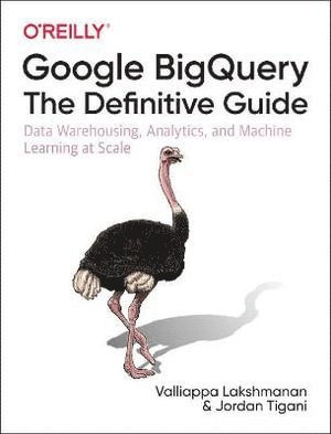 bokomslag Google BigQuery: The Definitive Guide