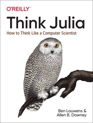 bokomslag Think Julia