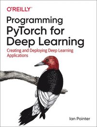 bokomslag Programming PyTorch for Deep Learning