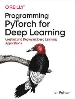 Ian Pointer - Programming PyTorch for Deep Learning, Häftad