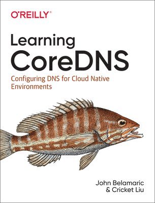 Learning Coredns 1