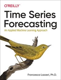 bokomslag Time Series Forecasting