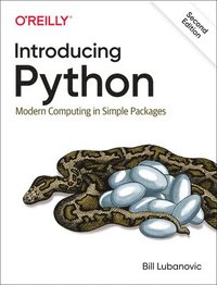 bokomslag Introducing Python