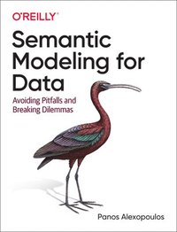 bokomslag Semantic Modeling for Data
