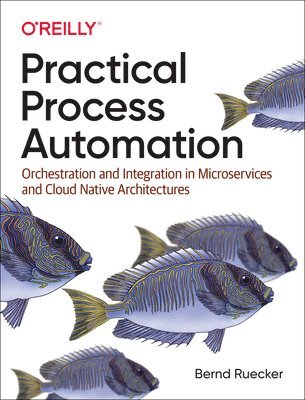 Practical Process Automation 1