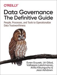 bokomslag Data Governance: The Definitive Guide