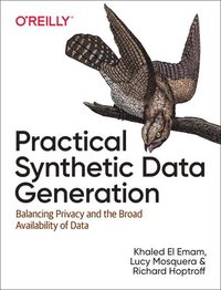 bokomslag Practical Synthetic Data Generation