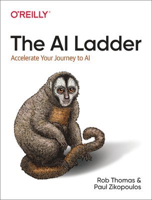 Rob Thomas, Paul Zikopoulos - AI Ladder, Häftad
