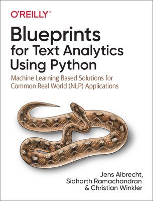 bokomslag Blueprints for Text Analytics using Python