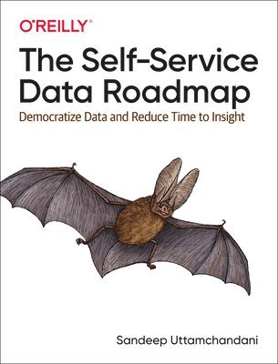 The Self-Service Data Roadmap 1