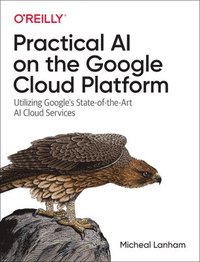 bokomslag Practical AI on the Google Cloud Platform