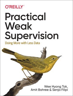 Practical Weak Supervision 1