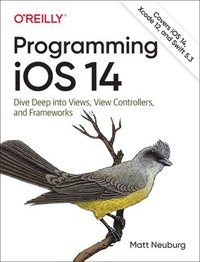 bokomslag Programming iOS 14