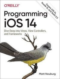 bokomslag Programming iOS 14