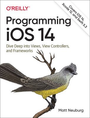 Programming iOS 14 1