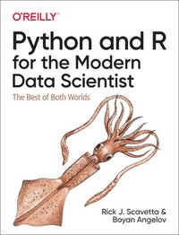 bokomslag Python and R for the Modern Data Scientist