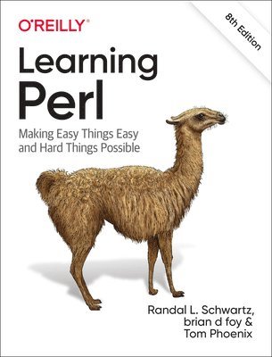 bokomslag Learning Perl