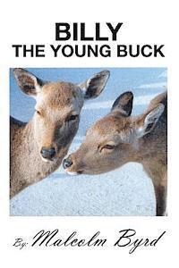 bokomslag Billy the Young Buck: Susie and Billy Search for Happiness and Freedom