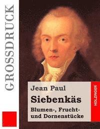 Jean Paul - Siebenkäs (Großdruck): Blumen-, Frucht- und Dornenstücke, Häftad