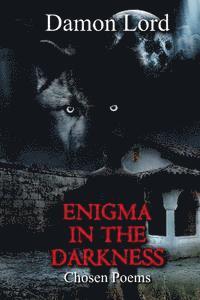 bokomslag Enigma in the Darkness