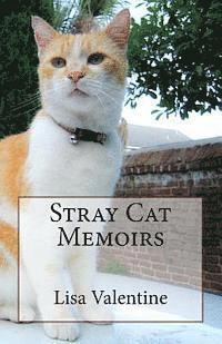 bokomslag Stray Cat Memoirs