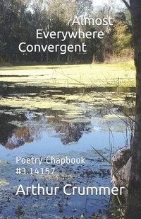 bokomslag Almost Everywhere Convergent: Poetry Chapbook #3.14159