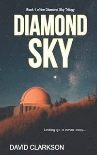 bokomslag Diamond Sky