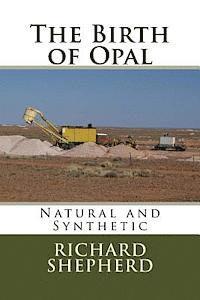 bokomslag The Birth of Opal: Natural and Synthetic