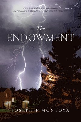 bokomslag Endowment