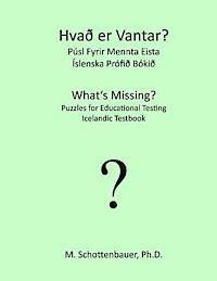 bokomslag What's Missing? Puzzles for Educational Testing: Icelandic Testbook