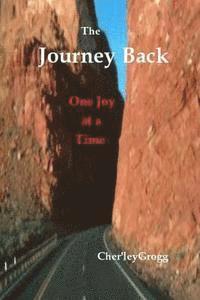 bokomslag The Journey Back: One Joy at a Time
