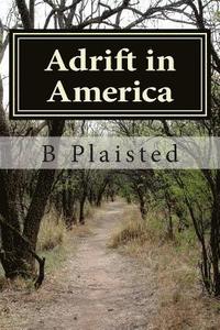 bokomslag Adrift in America: Adrift in America