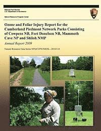 bokomslag Ozone and Foliar Injury Report for the Cumberland Piedmont Network Parks Consisting of Cowpens NB, Fort Donelson NB, Mammoth Cave NP and Shiloh NMP