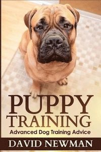 bokomslag Puppy Training