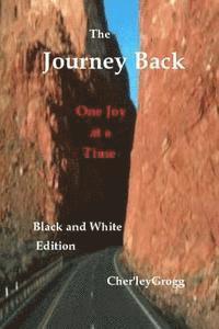 bokomslag The Journey Back--B&W Edition: One Joy at a Time