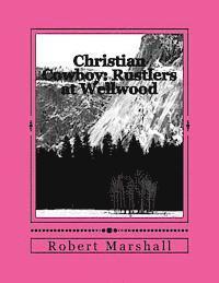bokomslag Christian Cowboy: Rustlers at Wellwood