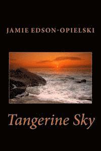 bokomslag Tangerine Sky