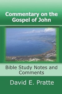 bokomslag Commentary on the Gospel of John