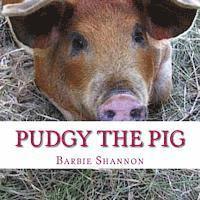 bokomslag Pudgy The Pig