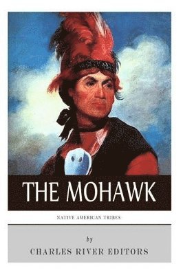 bokomslag Native American Tribes