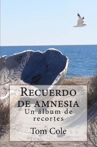 bokomslag Recuerdo de amnesia: Un album de recortes