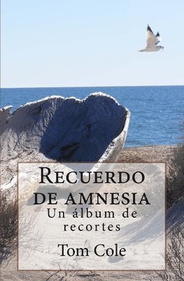 Recuerdo de amnesia: Un album de recortes 1