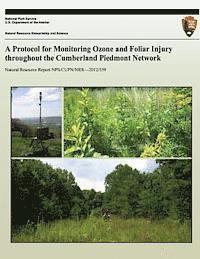 bokomslag A Protocol for Monitoring Ozone and Foliar Injury throughout the Cumberland Piedmont Network