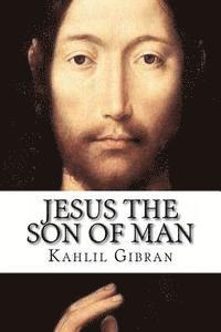 bokomslag Jesus the Son of Man