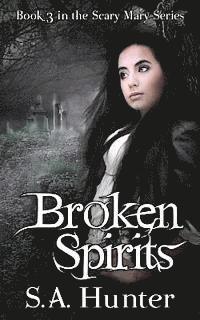 bokomslag Broken Spirits